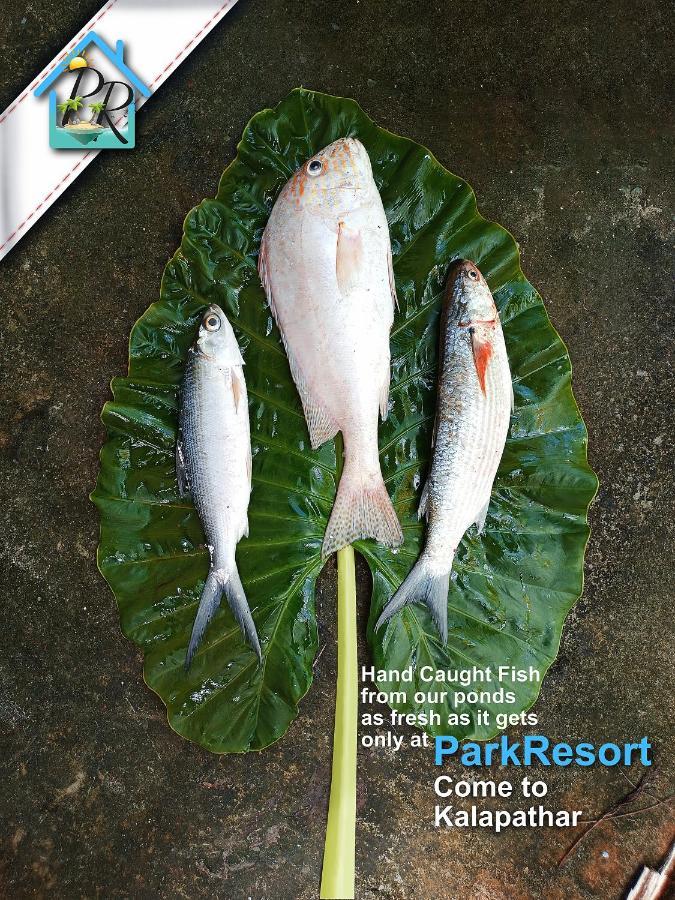 Parkresort - Organic Farm Resort Kala Pathar Beach エクステリア 写真