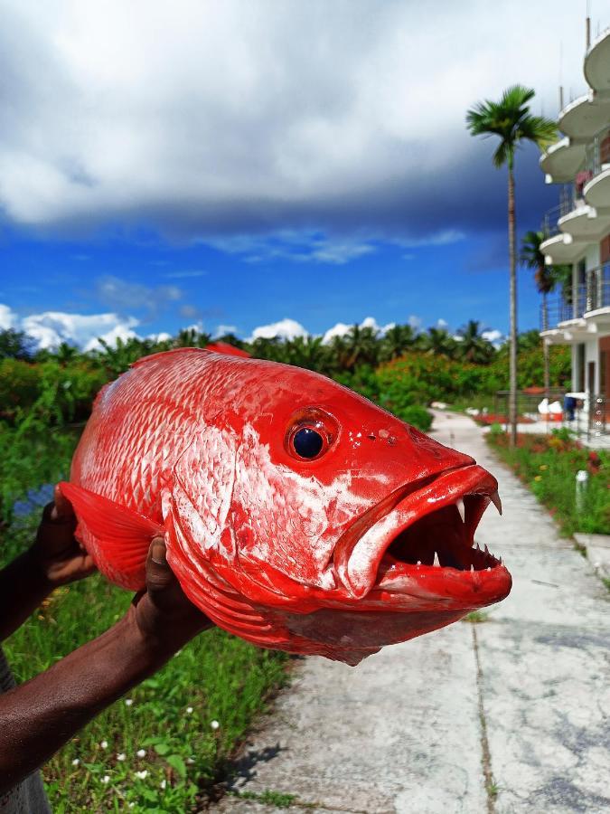 Parkresort - Organic Farm Resort Kala Pathar Beach エクステリア 写真